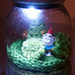 Everlasting Terrarium photo 4