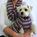 Well Dressed Cowl photo 3