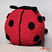 Ladybug Squish photo 3