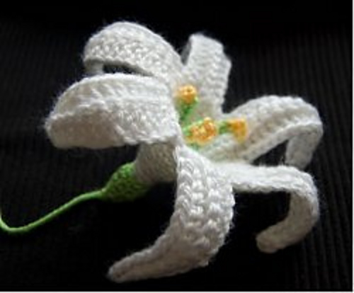 Easter Lily (November Lily) photo 1