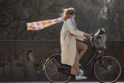 Entrelac Flechtverk - 