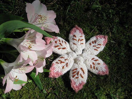 Flower Petal Fairy Wings photo 1