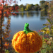 Itty Bitty Along Pumpkin pattern 
