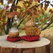 Knit or Stick Acorn Teapot pattern 