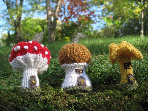 Mushroom or Fairy House? photo 5