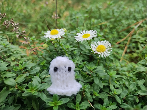 Daisy the Ghost