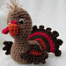 Cute Turkey photo 4