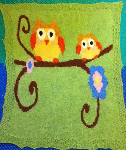 Owls Baby Blanket photo 1