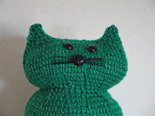 Verdi the cat photo 2