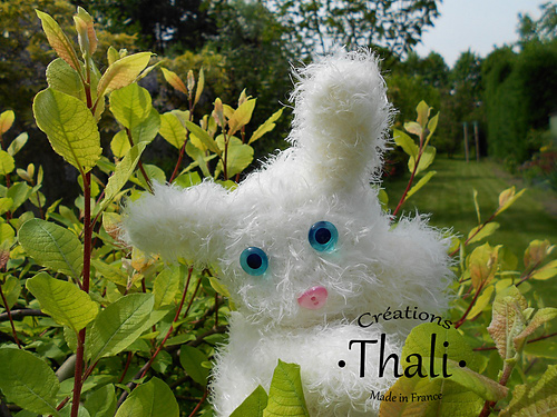 Doudou lapinou photo 3