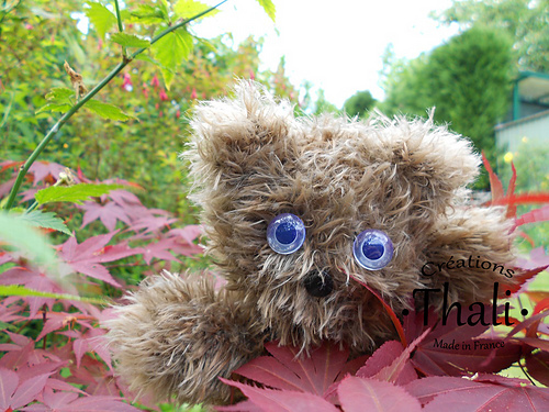 Doudou ourson photo 3