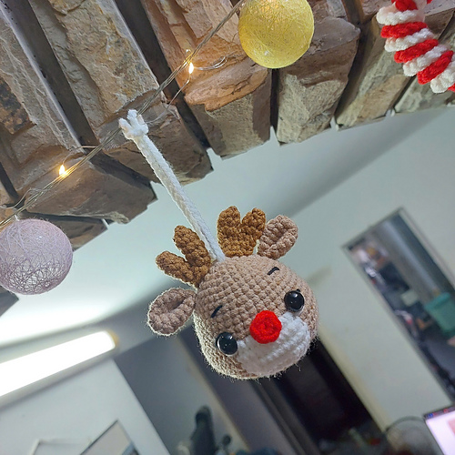 Christmas Reindeer photo 4
