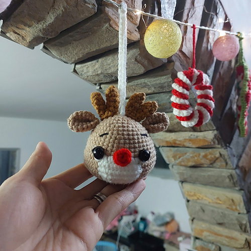 Christmas Reindeer photo 5