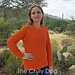 Kate's Everyday Sweater pattern 