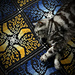 The Celestial Tiles pattern 