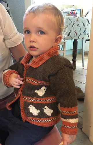 Child Bird Cardigan pattern by Monica Russel