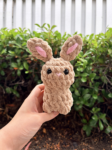 Cinnamon the Little Rabbit
