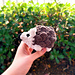Little Hedgehog pattern