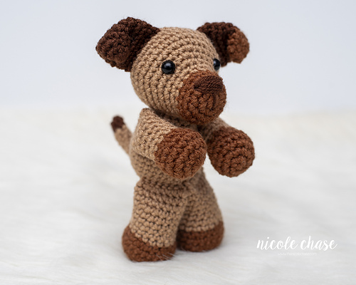 Peanut the Puppy photo 3