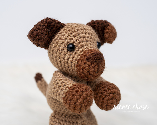 Peanut the Puppy photo 2