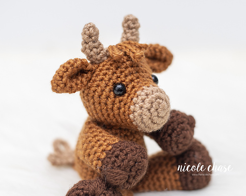 Hazel the Highland Cow photo 3