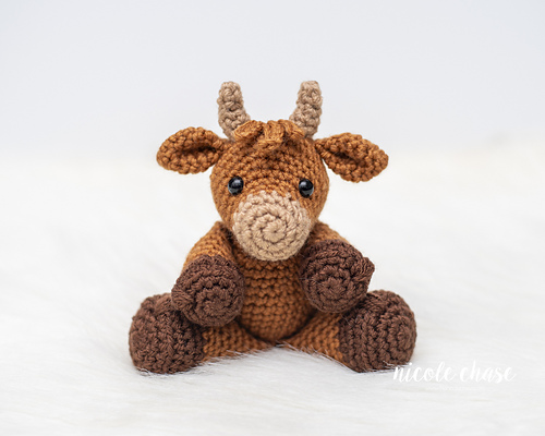 Hazel the Highland Cow photo 2