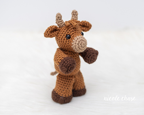 Hazel the Highland Cow photo 4