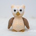 Oswald the Owl photo 3