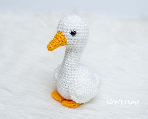 Gwen the Silly Goose photo 3