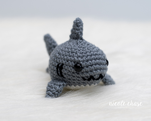 Sheldon the Shark photo 2