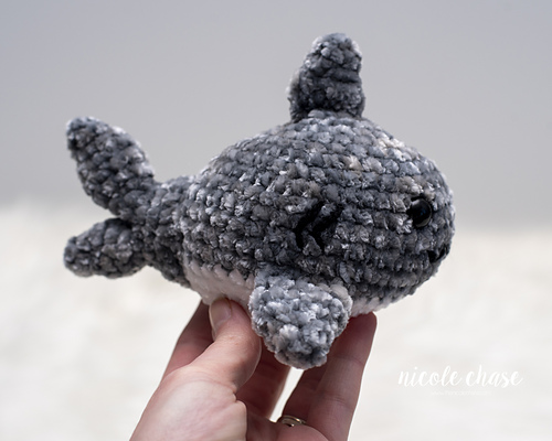 Sheldon the Shark photo 4