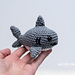 Sheldon the Shark photo 4