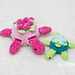 Nala the Turtle photo 4
