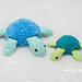 Nala the Turtle photo 3