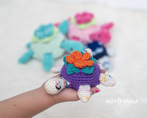 Nala the Turtle photo 4