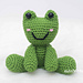 Fergus the Frog photo 3