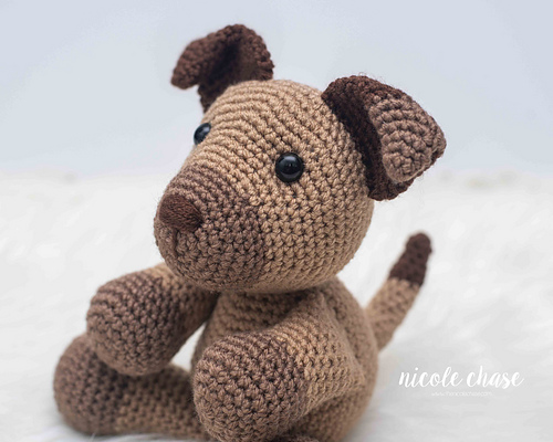 Daniel the Dog photo 2