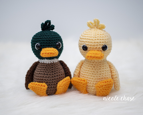 Daphne the Duck photo 2