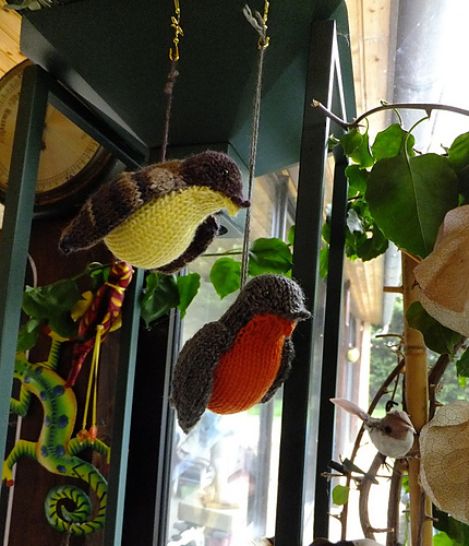 Songbird photo 11