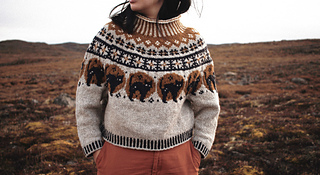 nocturnal jumper pattern by saskie&co