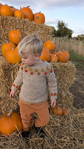 Pumpkin Patch Jumper