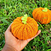 Fall Pumpkin Crochet Pattern for Beginners with Video Tutorial - The Stitch Queen Crochet