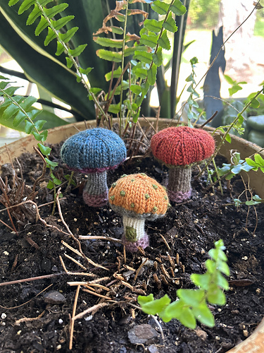 Mushroom or Fairy House? photo 12