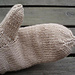 Chevalier Mittens photo 3