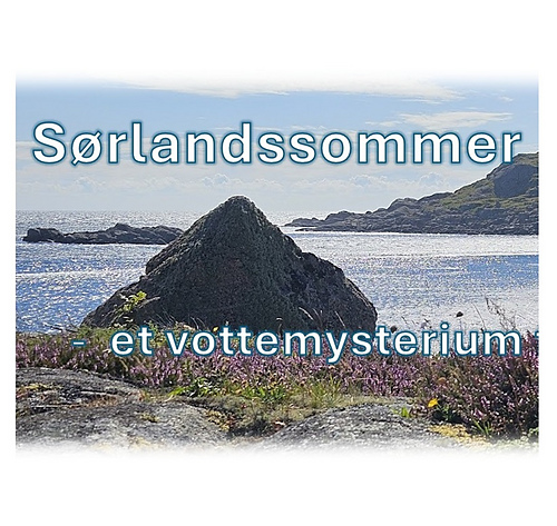 Sørlandssommer - et vottemysterium - Tori Seierstad