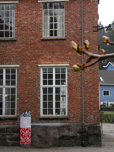 Alpelua Sjølingstad photo 11