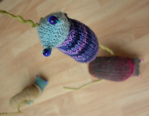 Snail photo 4