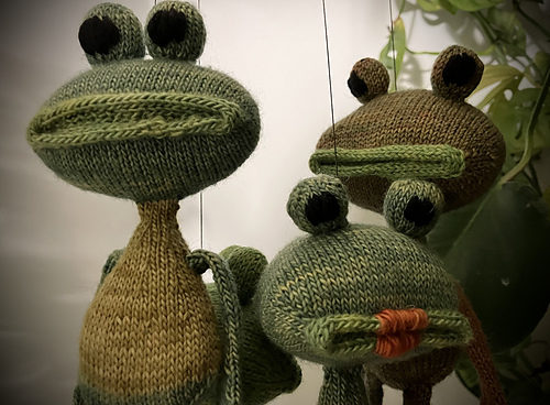 Little frog