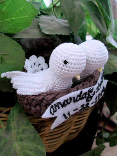 Cute Bird photo 7