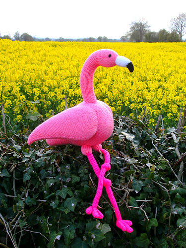 Felipe Flamingo - Trish Roberts / trishlemoose